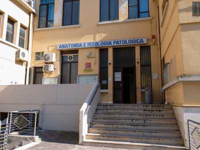Incontriamo il docente al piano terra del padiglione di Anatomia e Istologia Patologica del nosocomio barese...